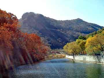 新澳天天开奖资料大全旅游团，埃及大使馆认证